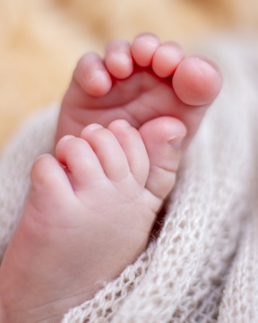 4241-2019-10-27_C3_Newborn_Aline_Mara_Helena